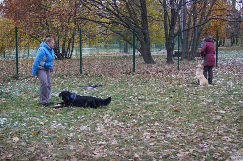 Фотография № 166526