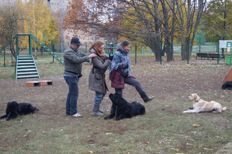 Фотография № 166543