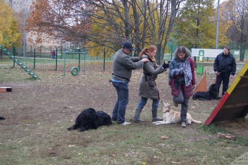 Фотография № 166544