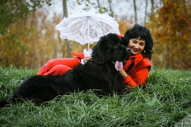 Фотография № 166664