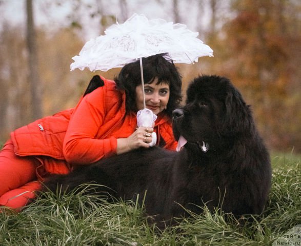 Фотография № 166665