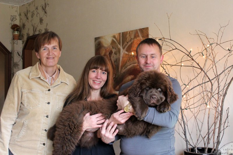 Фотография № 166674