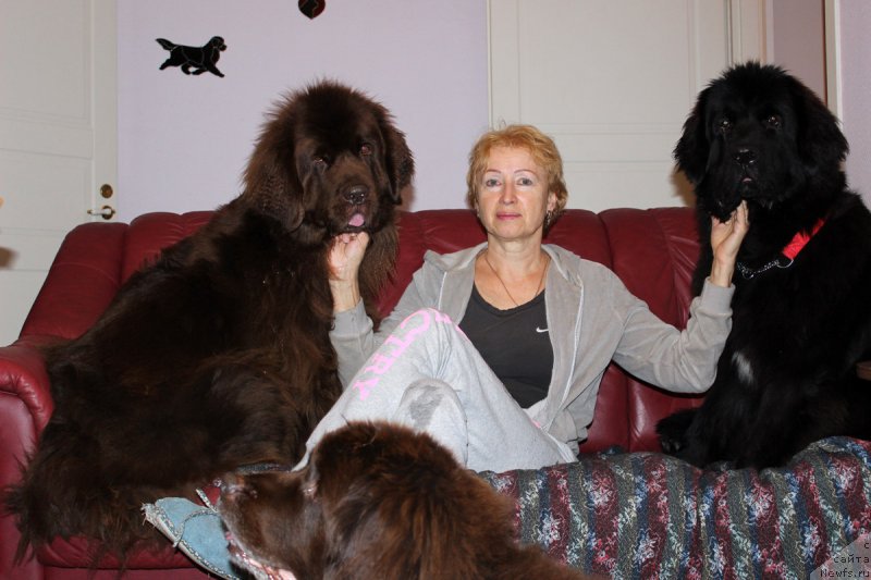 Фотография № 166680