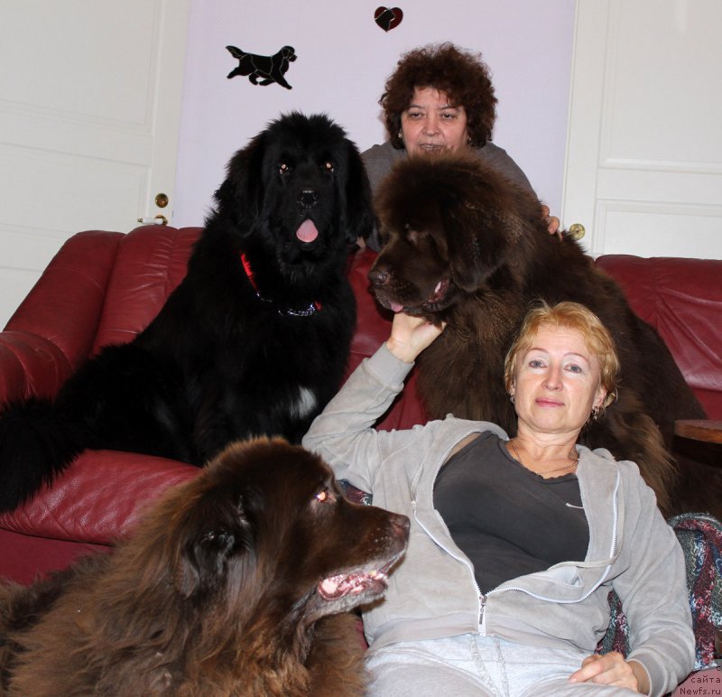 Фото: ньюфаундленд Мерседес Вялiкi Мядзведзь (Mercedes Vialiki Miadzvedz), Галина Вилпо, ньюфаундленд Sandra, Елена Шмелева, ньюфаундленд Newettas Vanessa