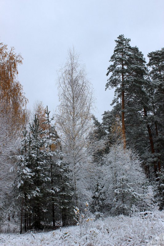 Фотография № 166742