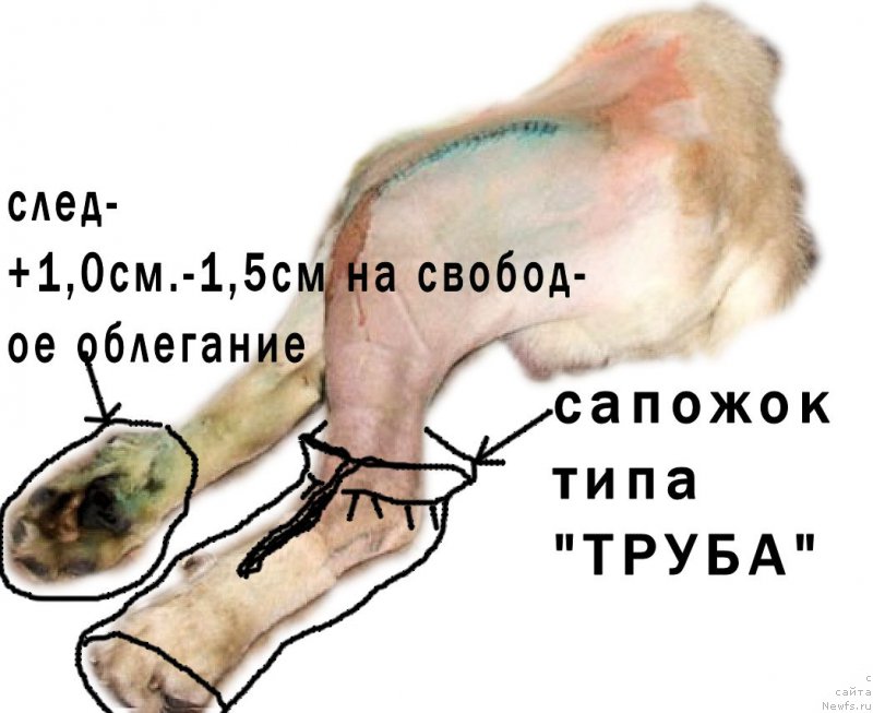 Фотография № 166743