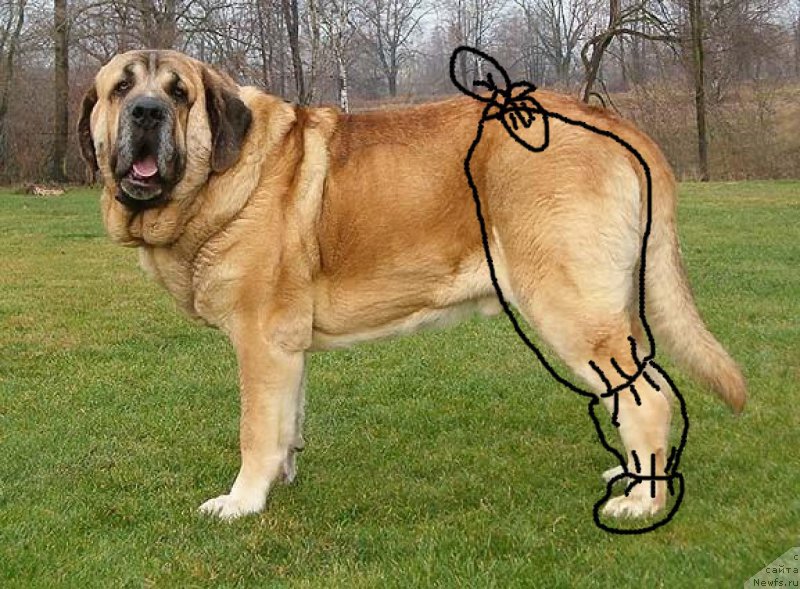 Фотография № 166748