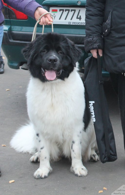 Фотография № 166759