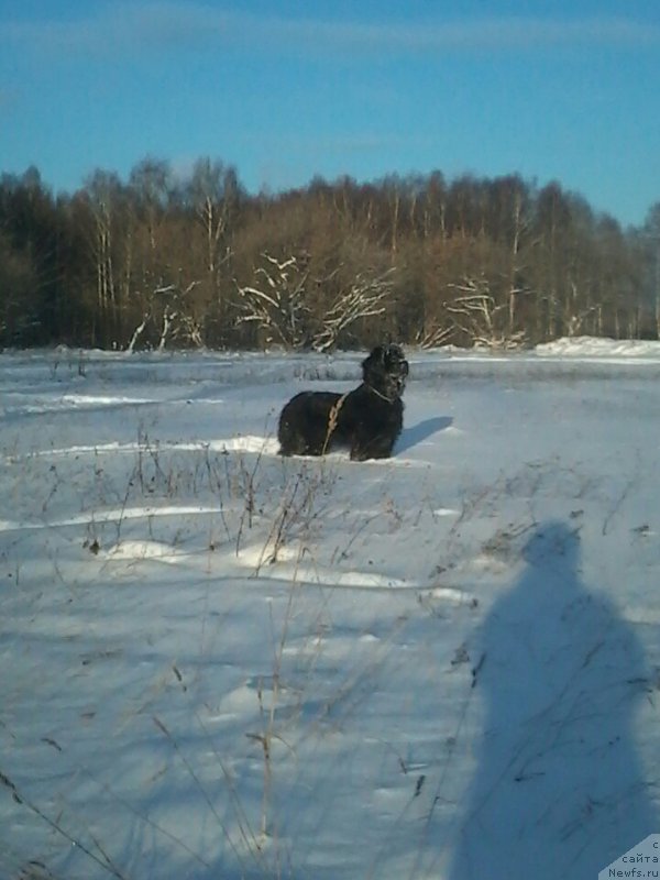 Фотография № 166808