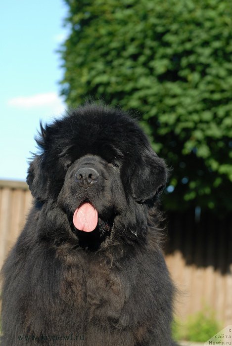 Фотография № 166828