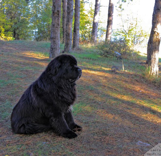 Фотография № 166837