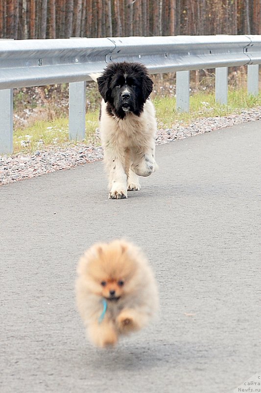 Фотография № 166845