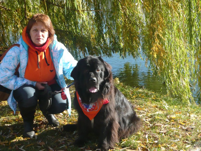 Фото: Ван Лен Тайм Орнетта