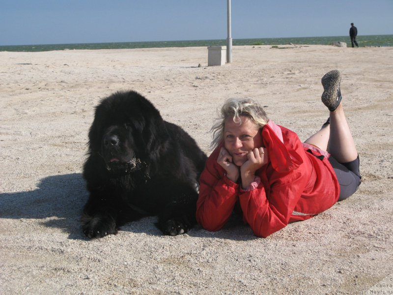 Фотография № 166864