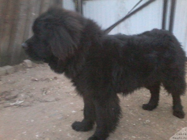 Фотография № 166879