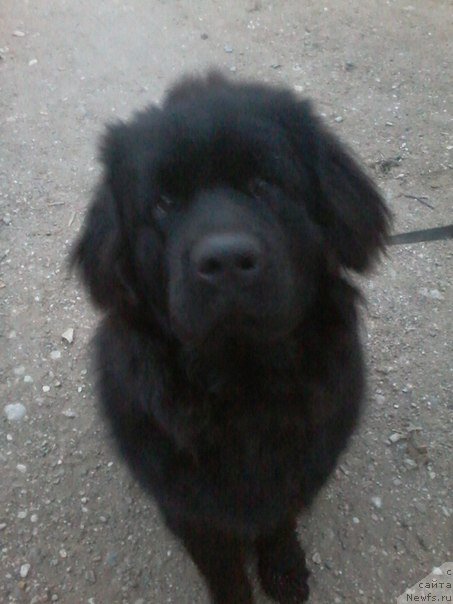 Фотография № 166880