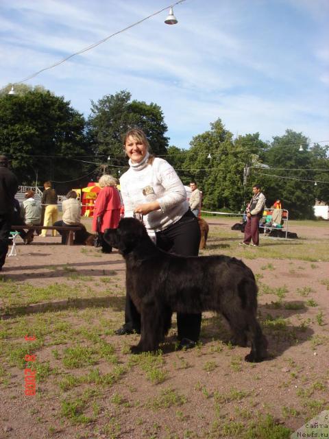 Фото: ньюфаундленд Смигар Осенняя Сказка, хендлер Михайлова Настя
