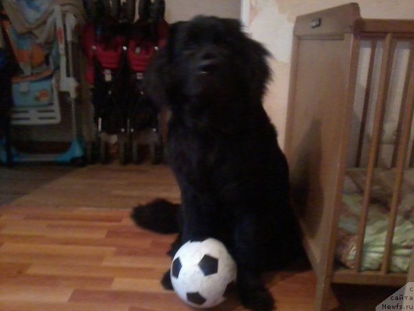 Фотография № 166897