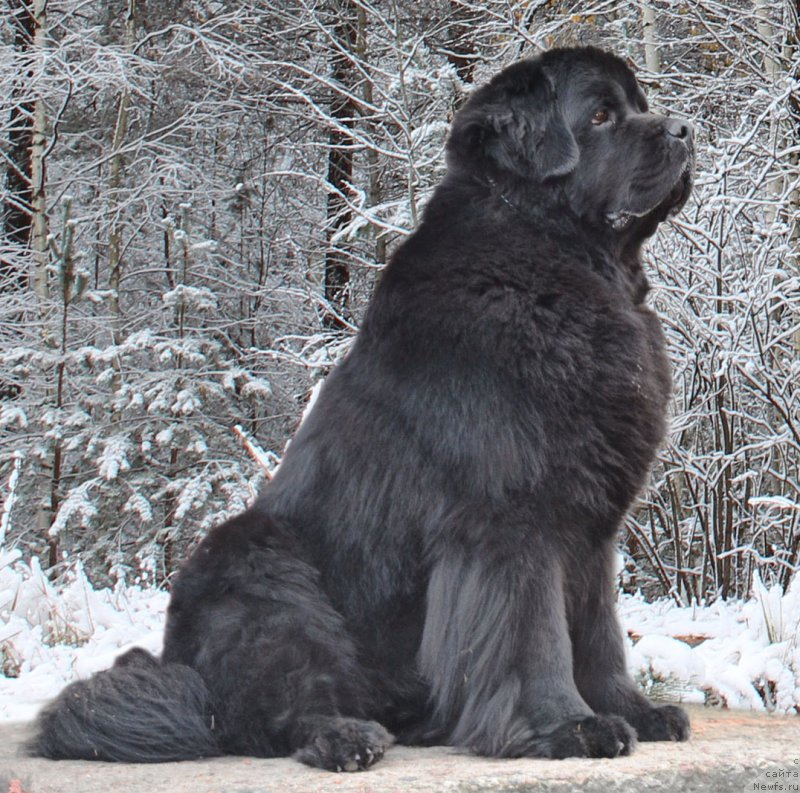 Фотография № 166905