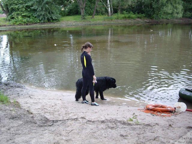 Фотография № 16692