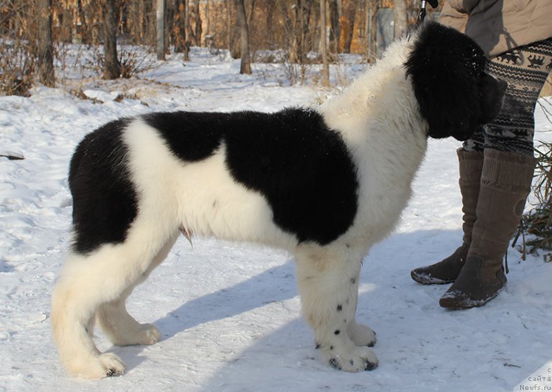 Фотография № 166924