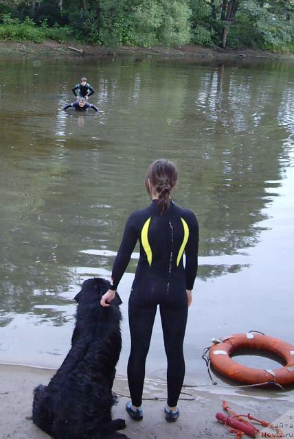 Фотография № 16694