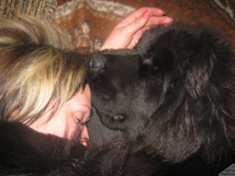 Фотография № 166946