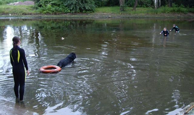 Фотография № 16695