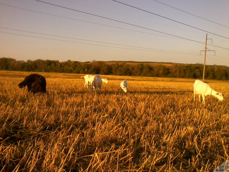 Фотография № 166953