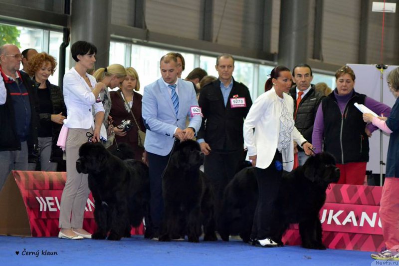 Фотография № 166955