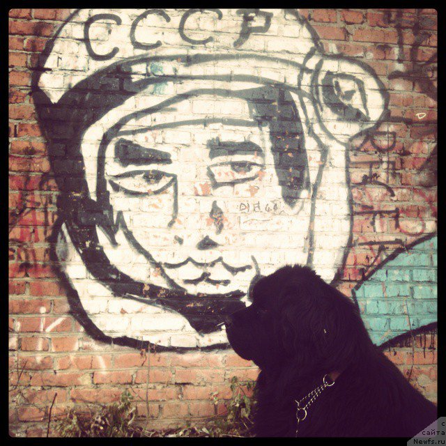 Фото: Гастон де Фуа