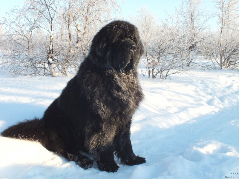 Фотография № 166960