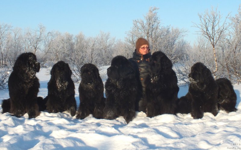 Фото: Елена Кузьмина