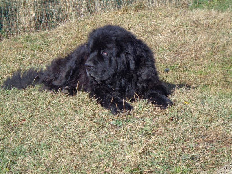 Фотография № 167011