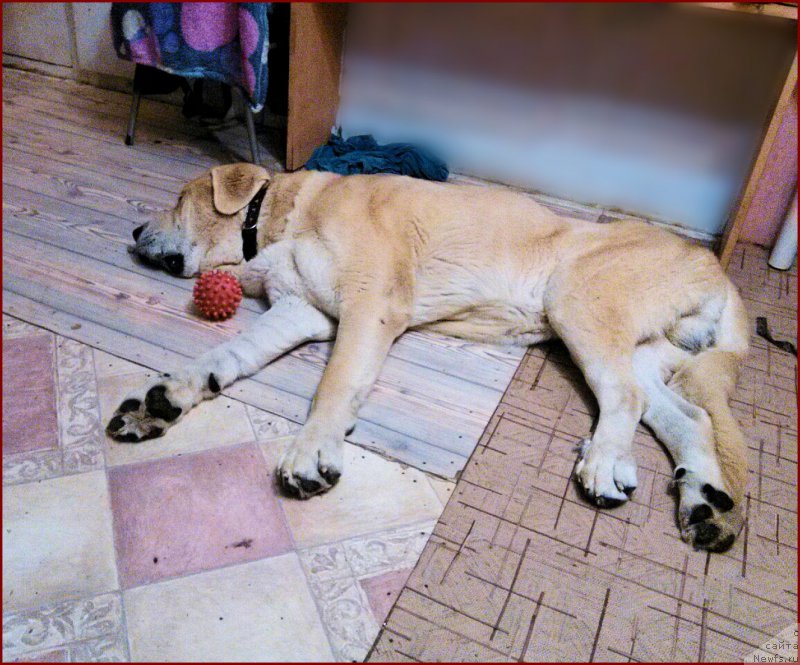 Фотография № 167013