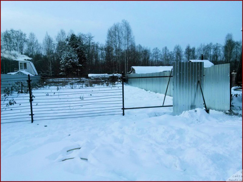 Фото: Лена Зырина