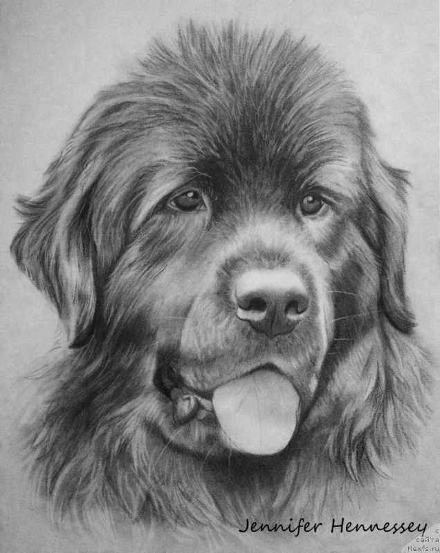 Фотография № 167016