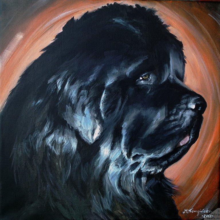 Фотография № 167017