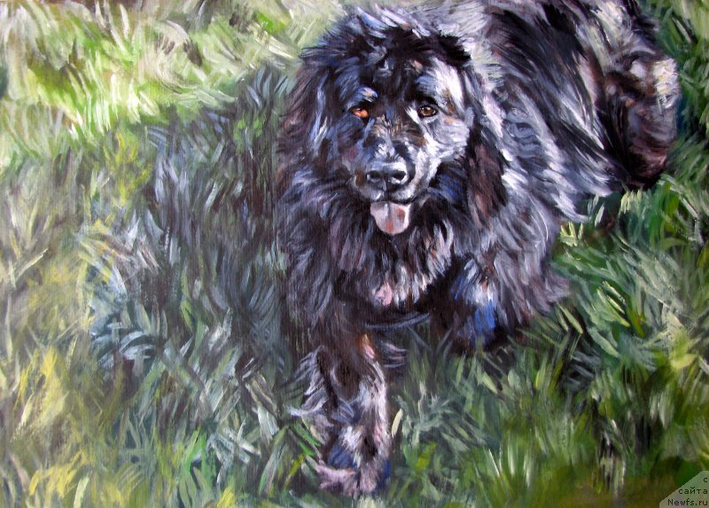 Фотография № 167022