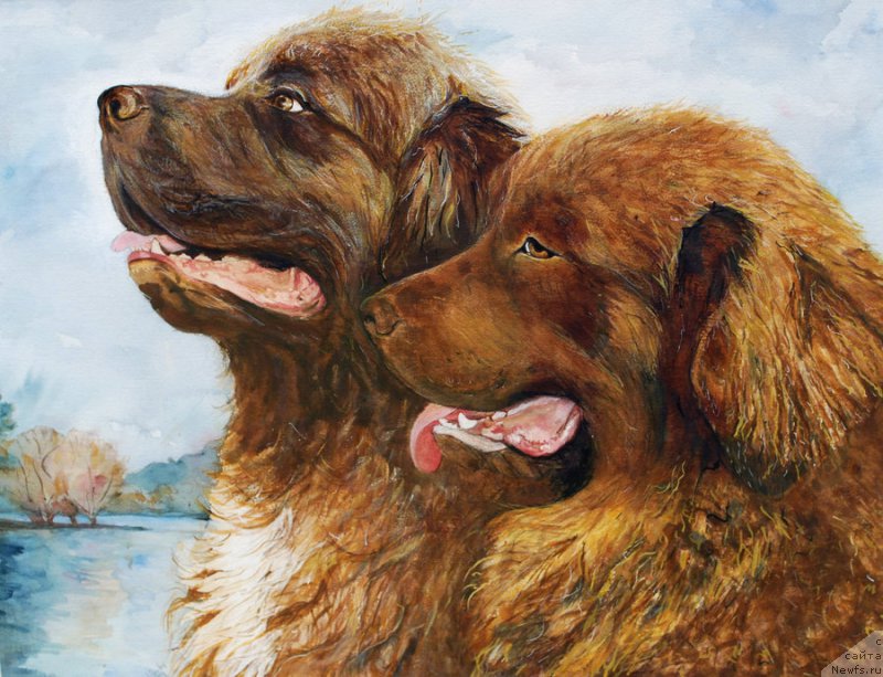 Фотография № 167024