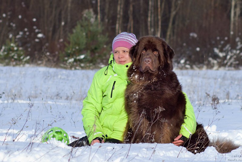 Фотография № 167036