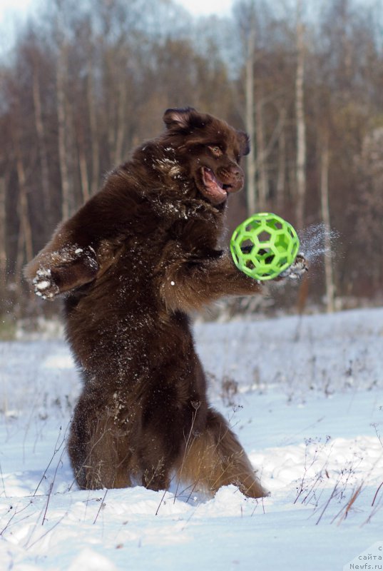 Фотография № 167038