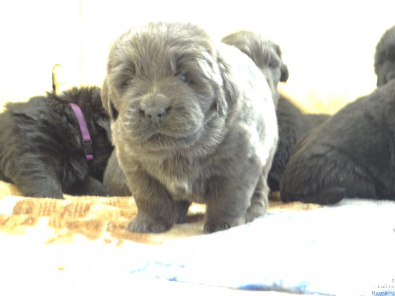 Фотография № 167045