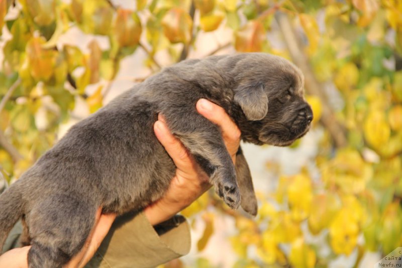 Фотография № 167095