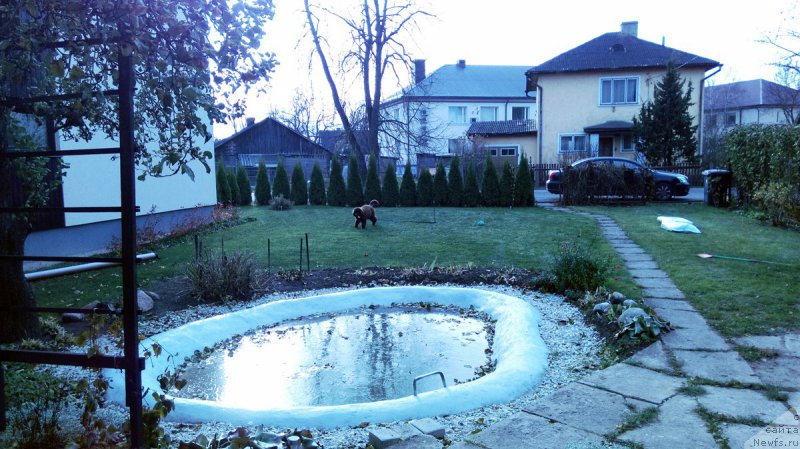 Фотография № 167120