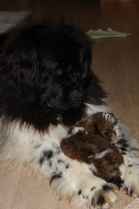 Фотография № 167121