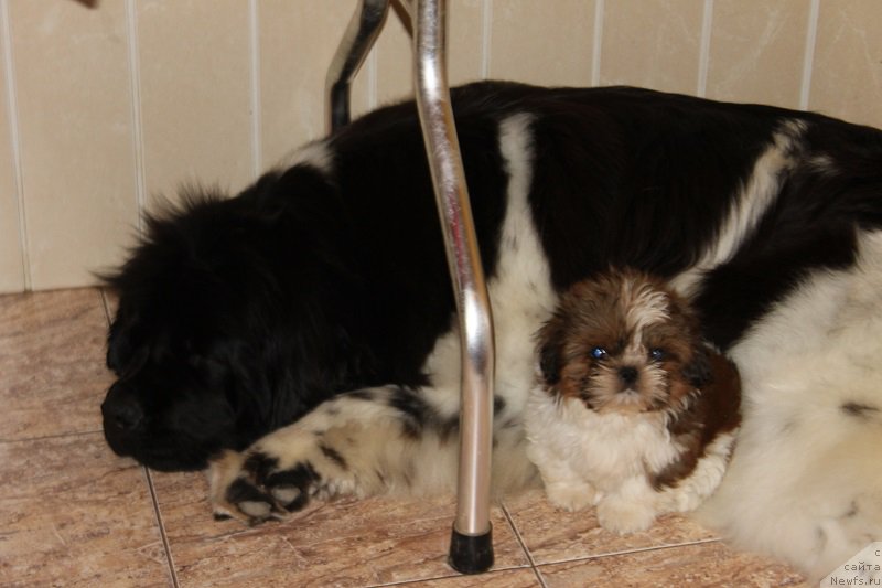 Фотография № 167122