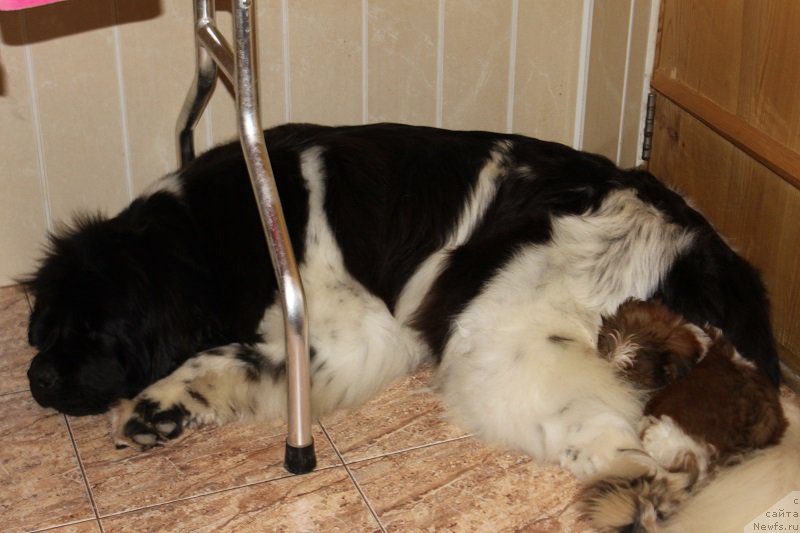 Фотография № 167123