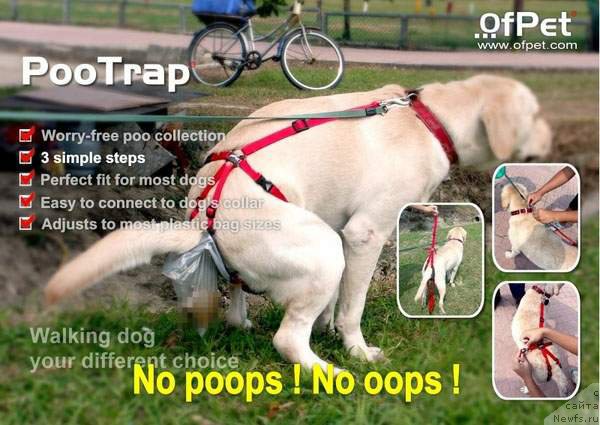 Фото: Сергей Жуков