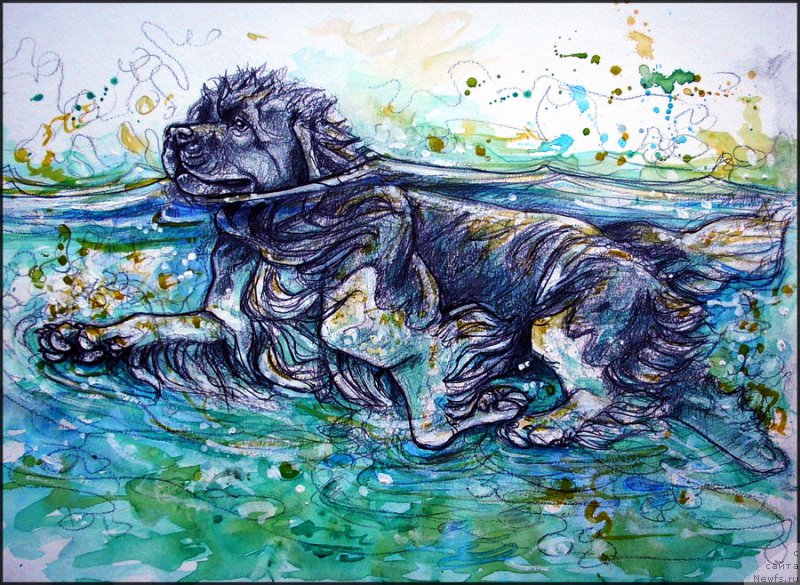 Фотография № 167128